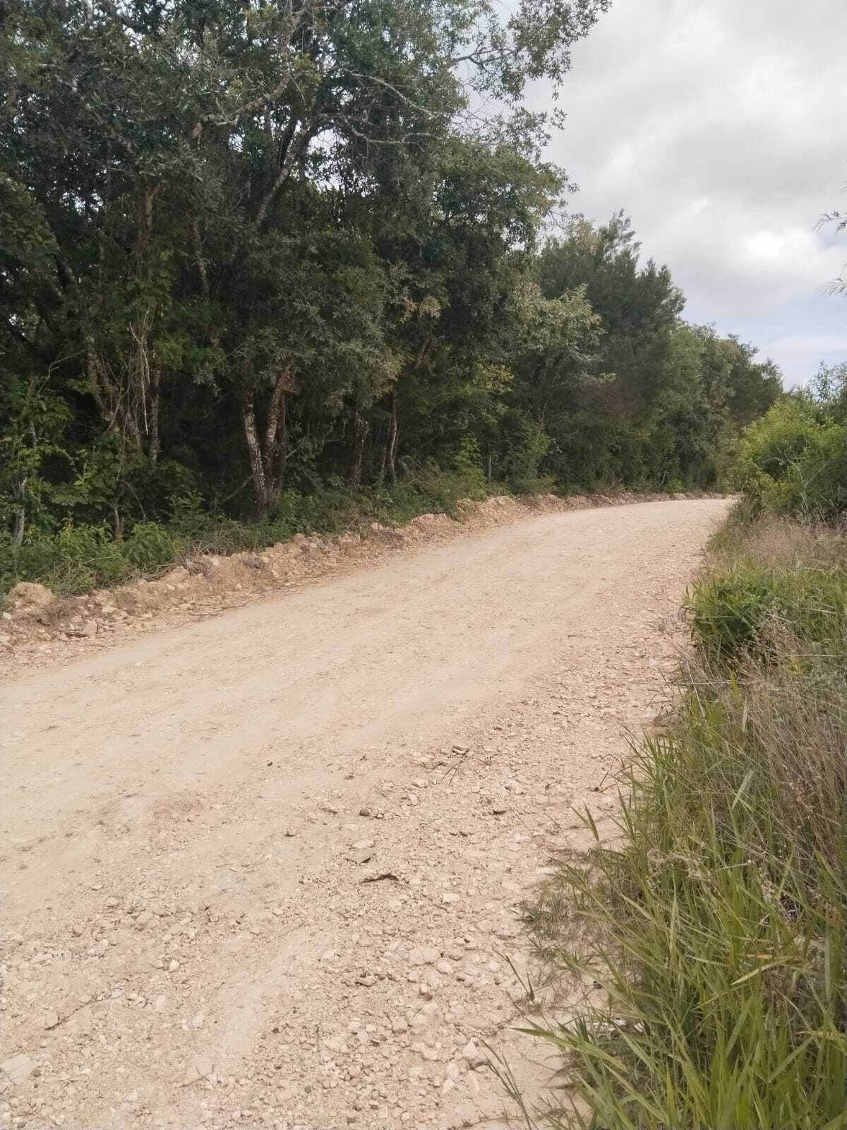 4 de 8
