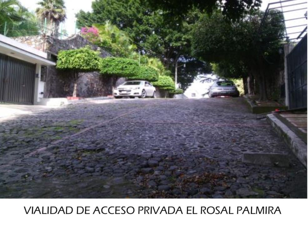 10 of 17: Calle