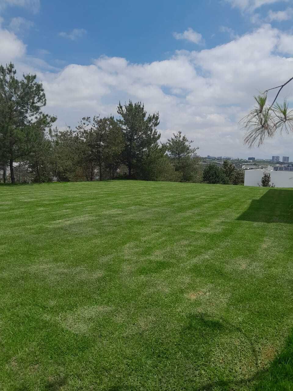 4 de 6