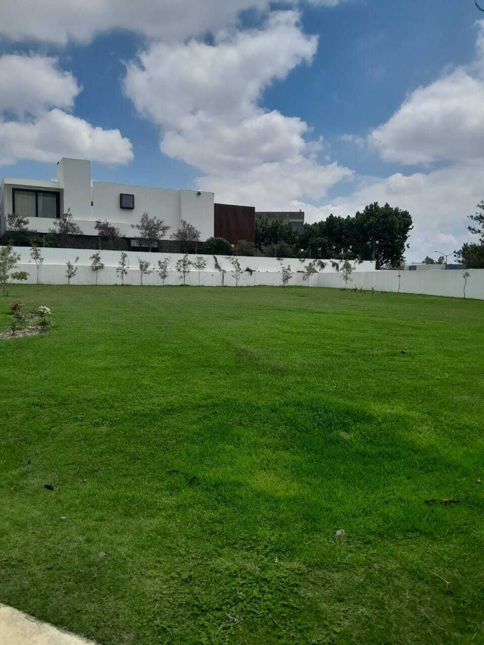 2 de 6