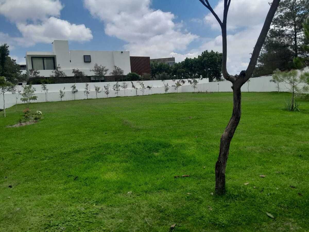 3 de 6