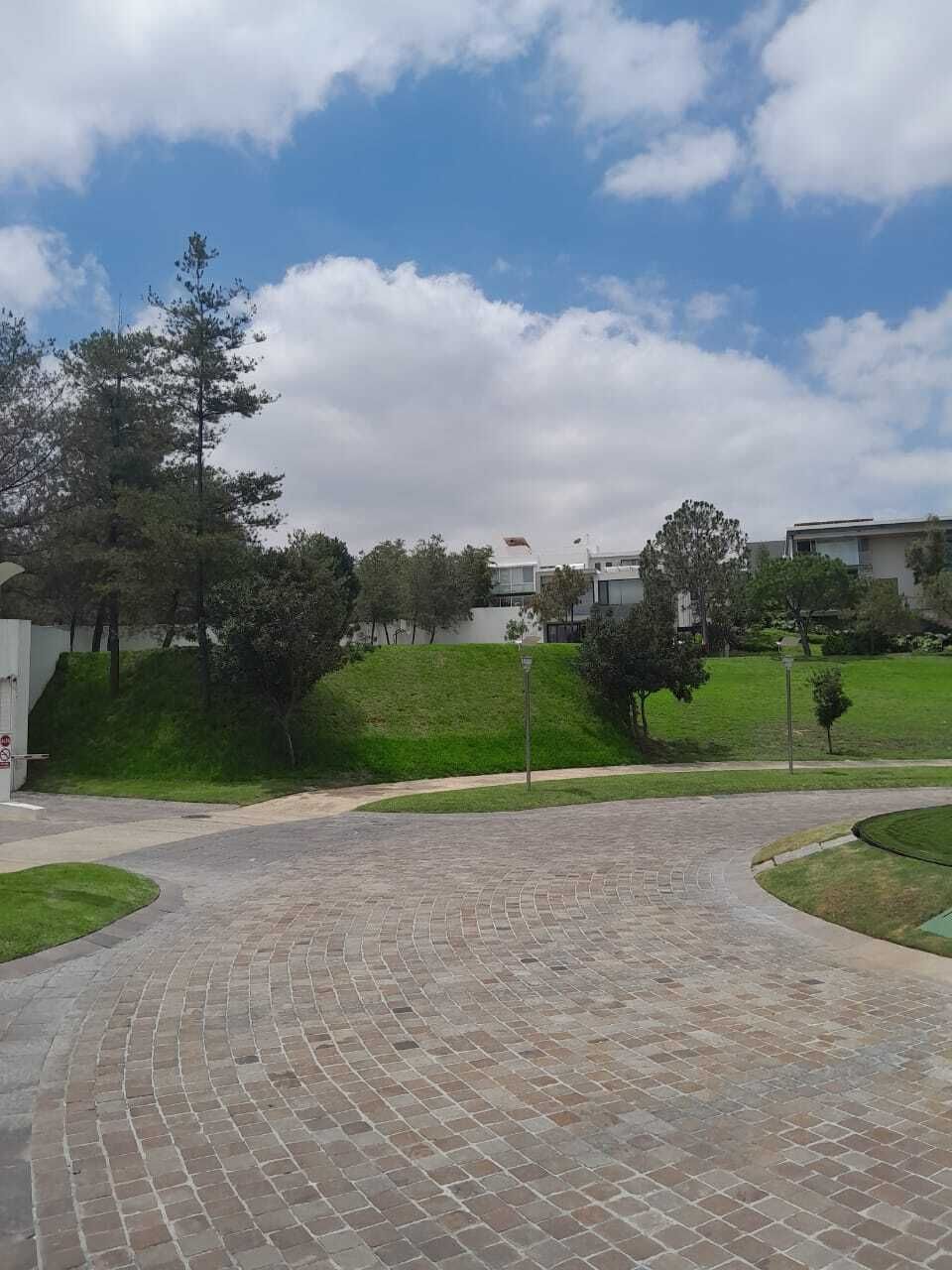 4 de 6