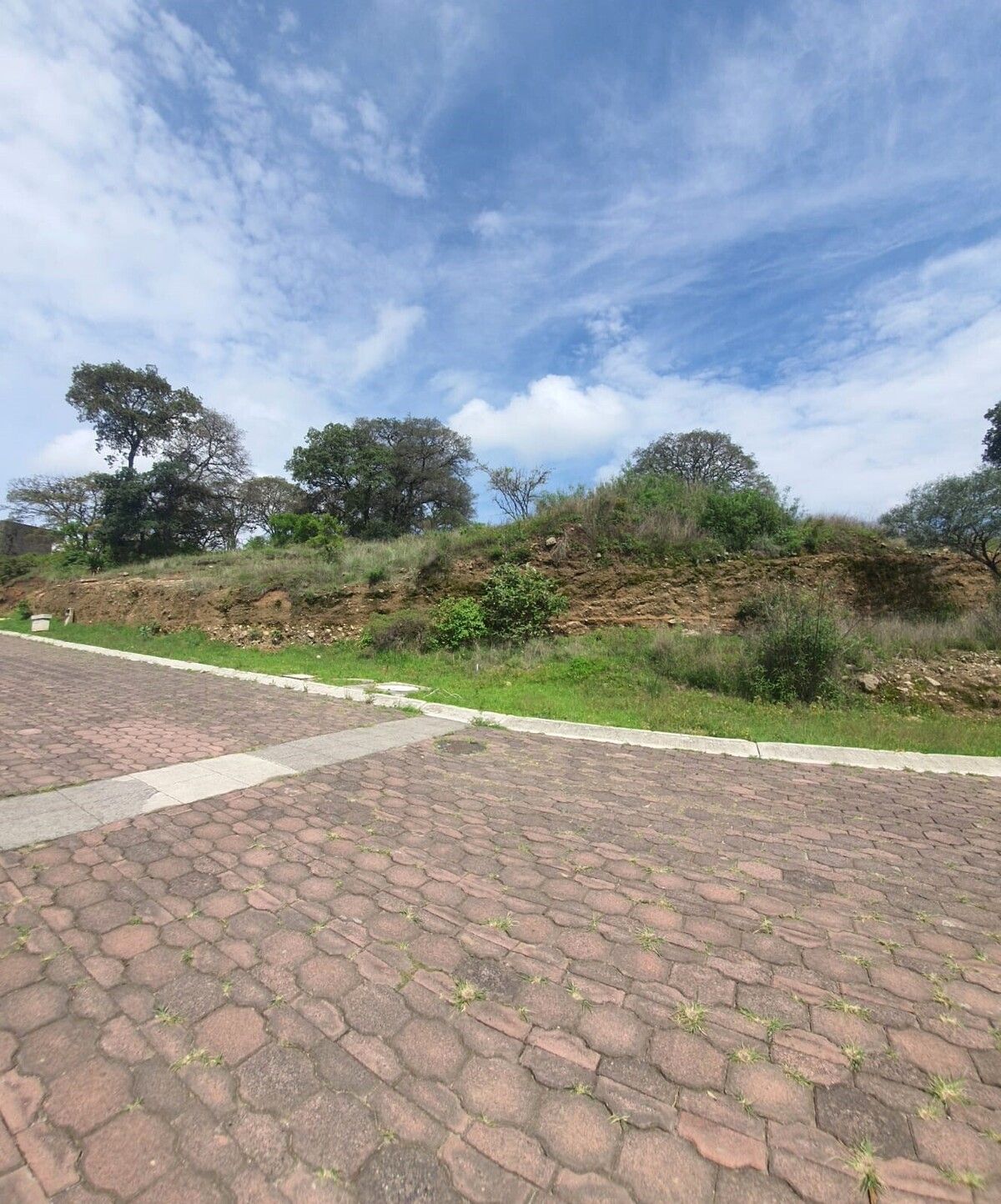 4 de 5