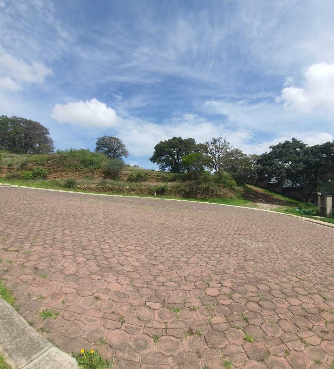 5 de 5