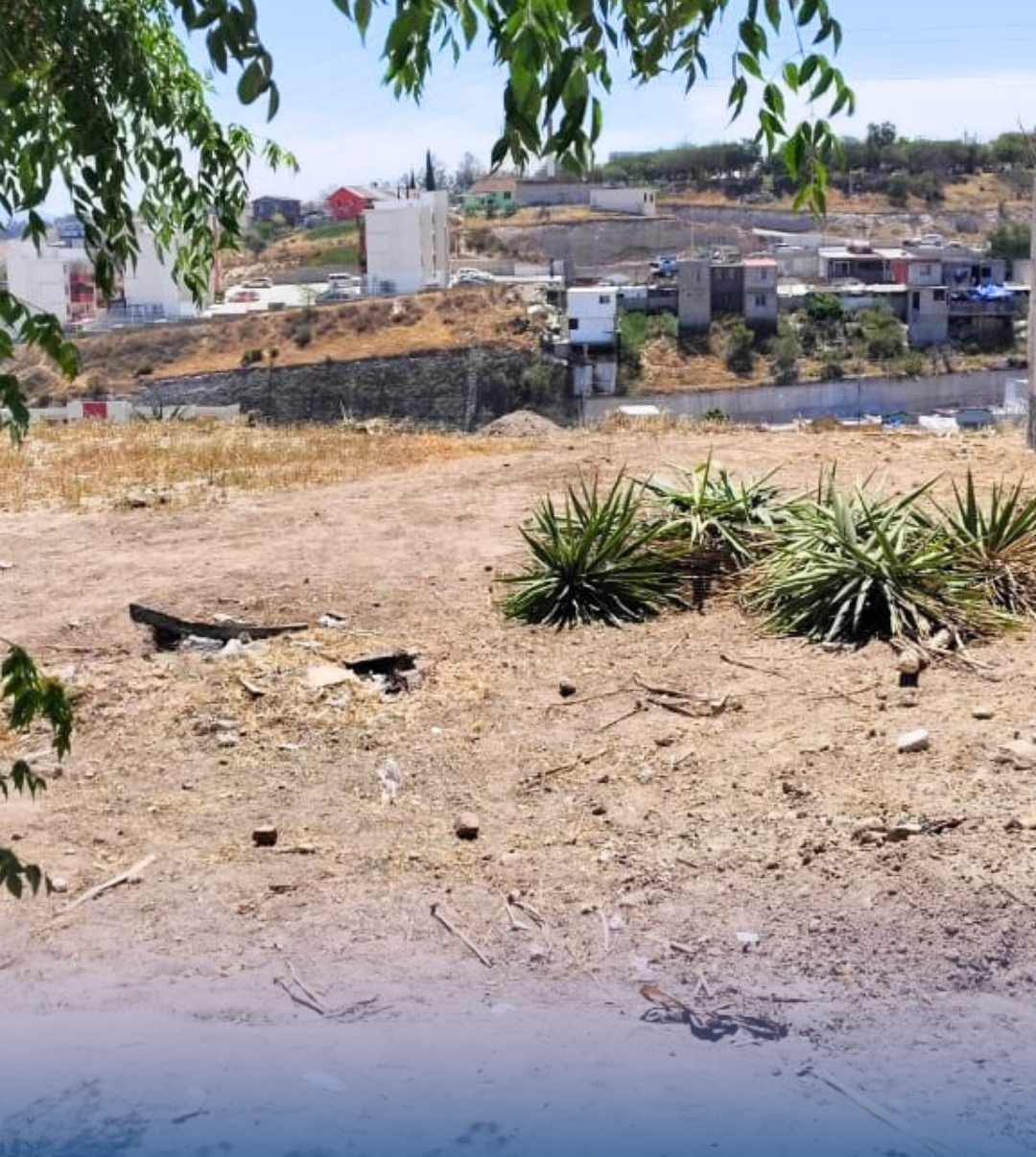 Imagen 2 de 3