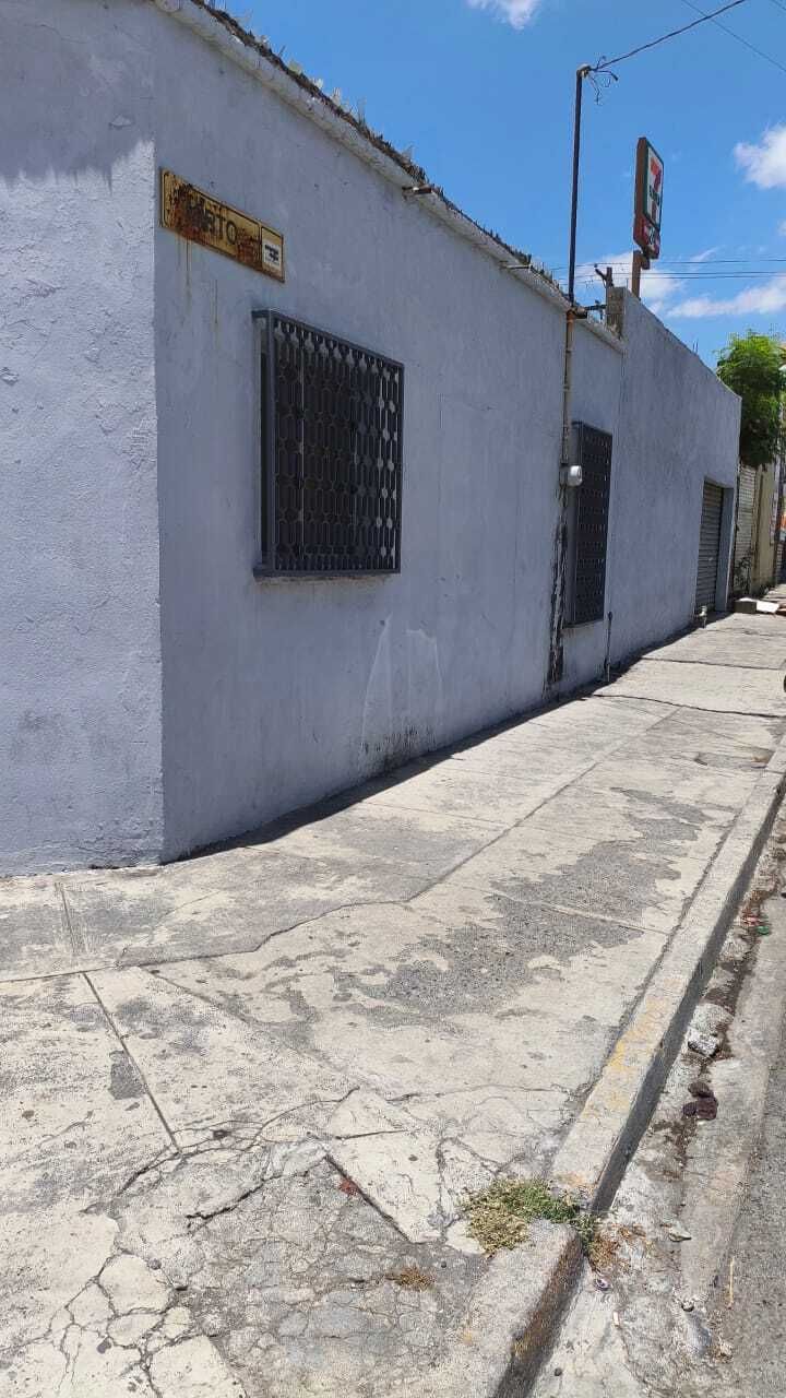 2 de 16