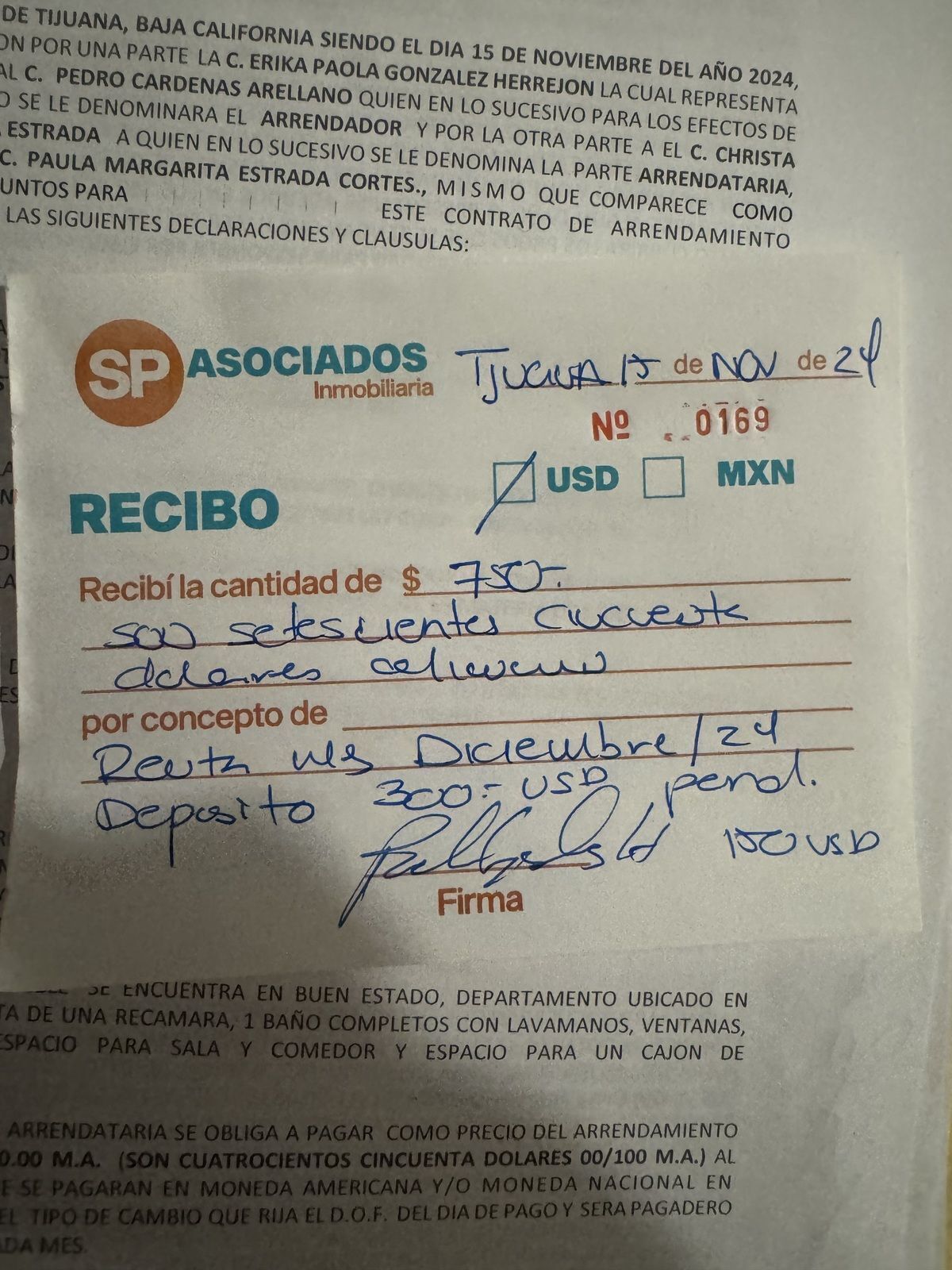 6 de 11