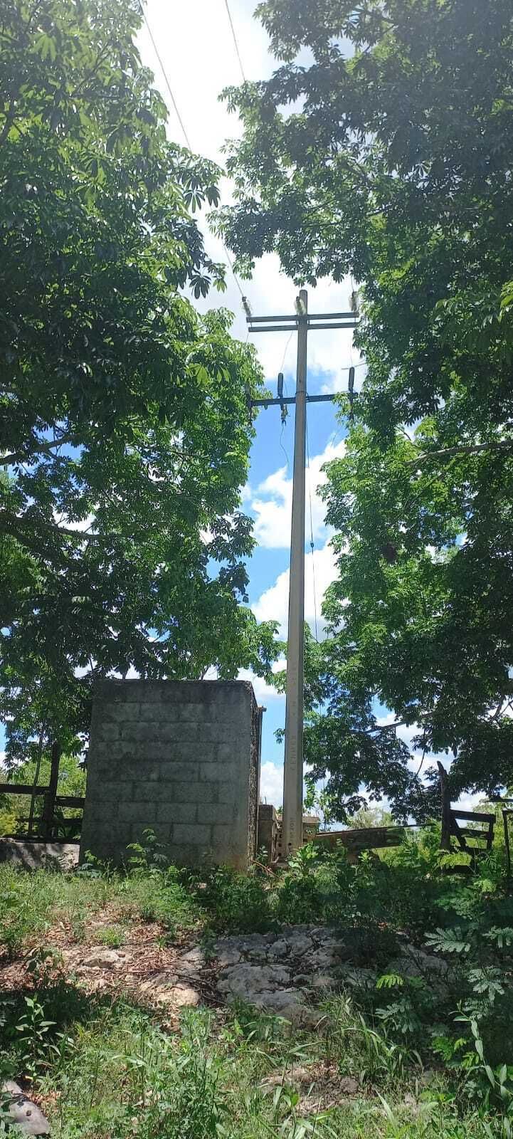 3 de 11