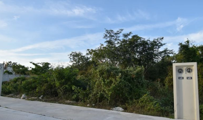 2 de 5