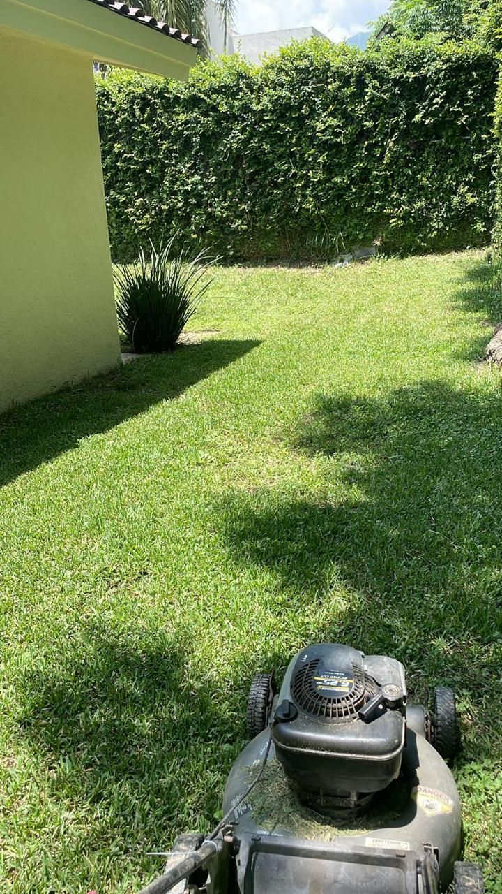 3 de 21