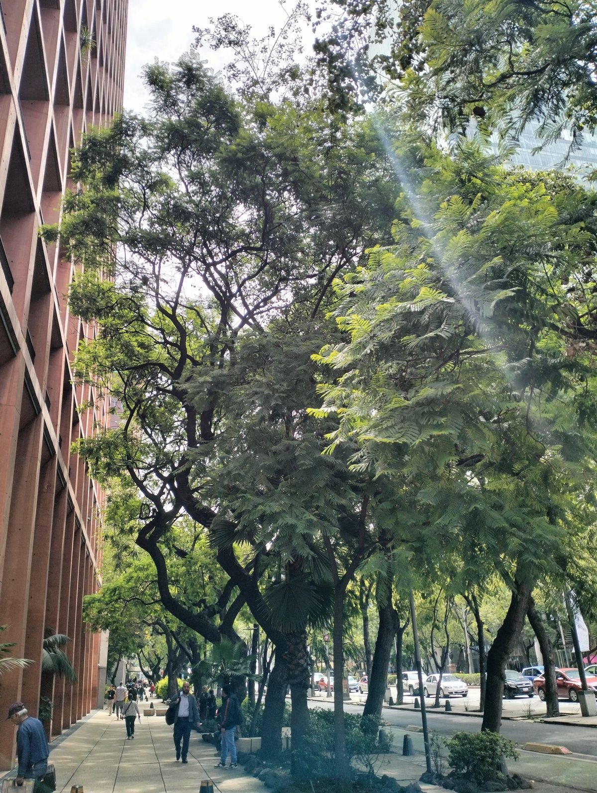 24 de 38