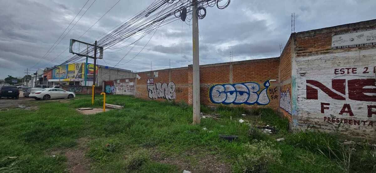 4 de 5