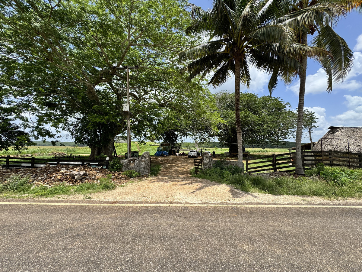 1 de 29: Acceso pie de carretera