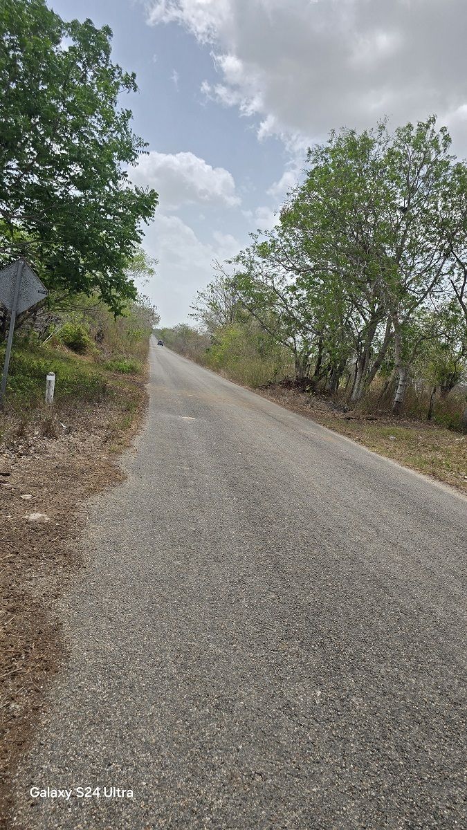 Vista del rancho, orilla de carretera