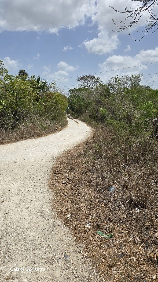 Carretyer de division de la mensyra