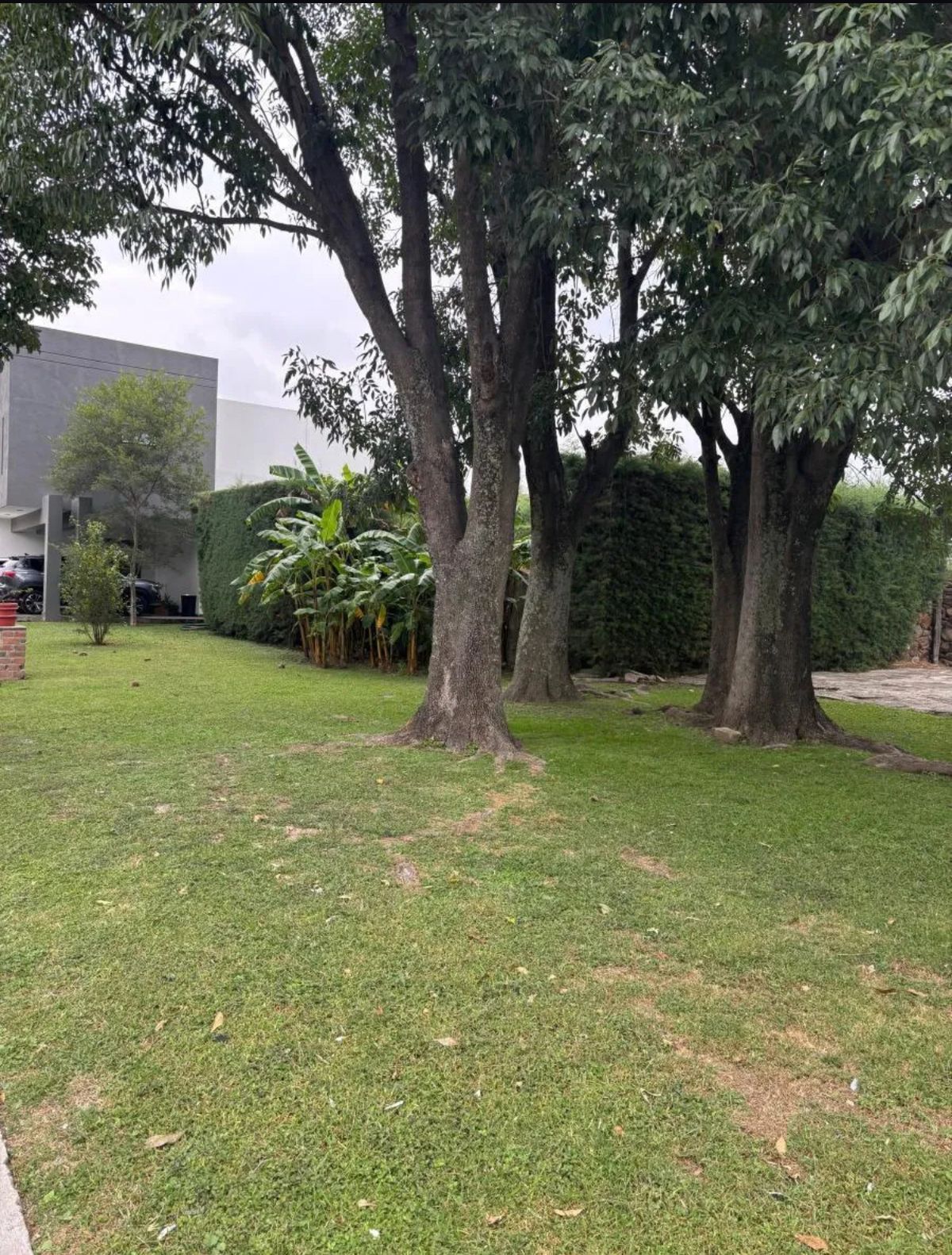3 de 10: Área común