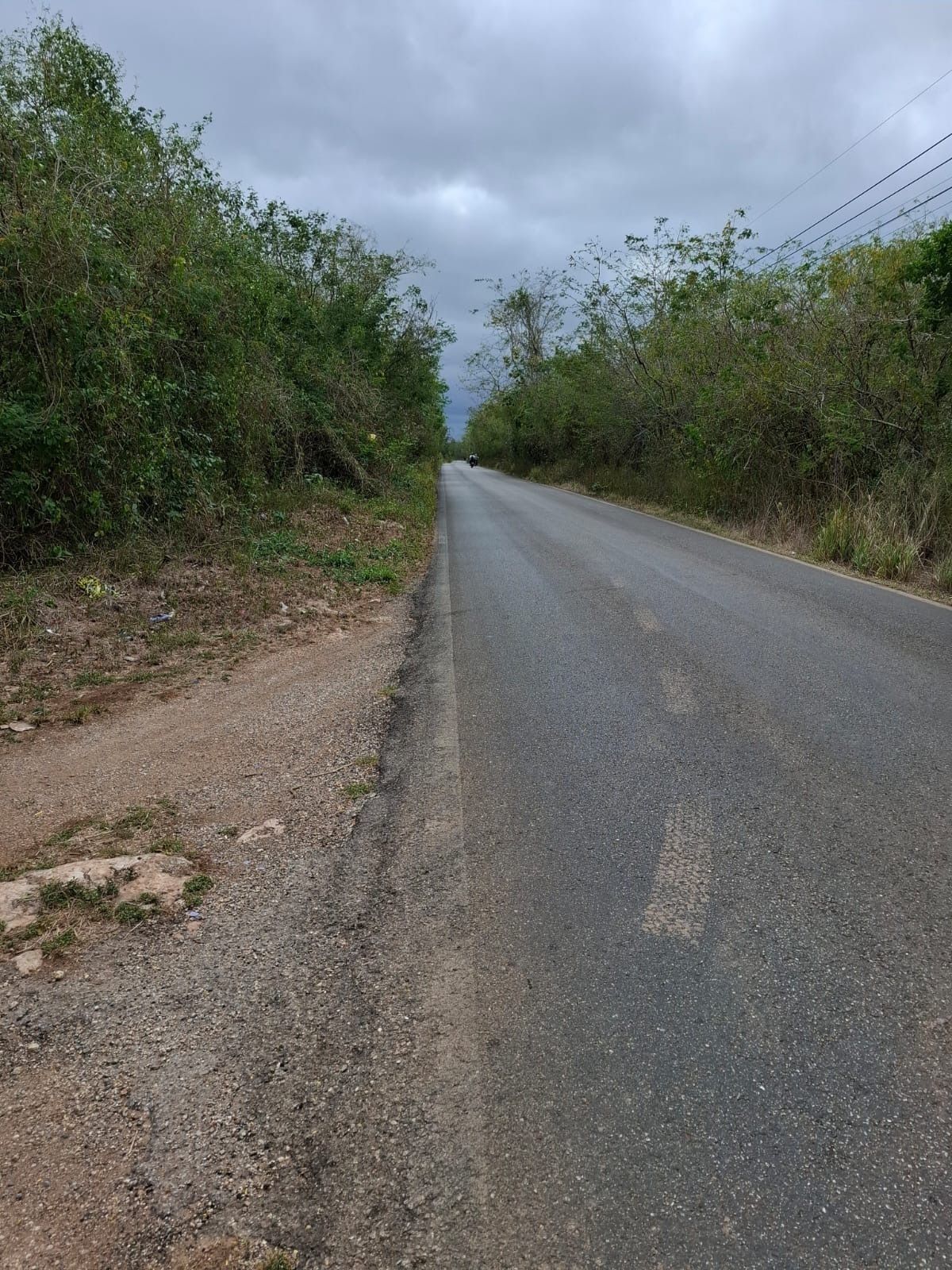 5 de 12