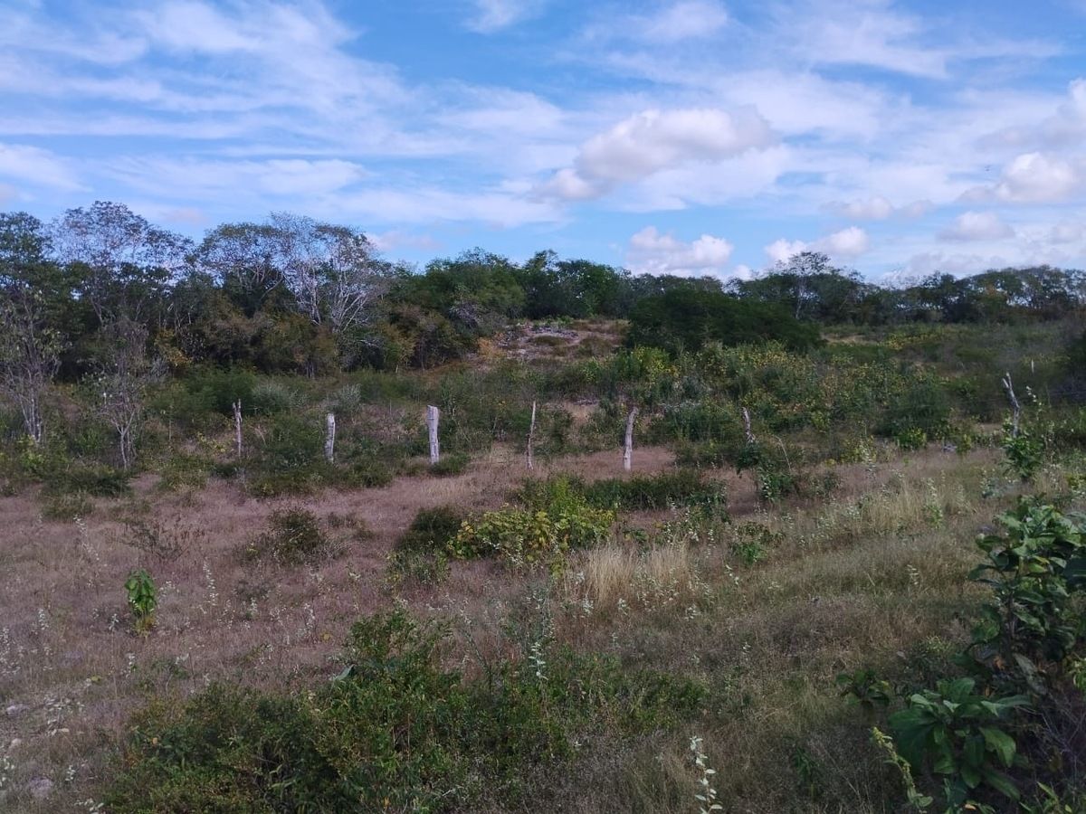 8 de 24