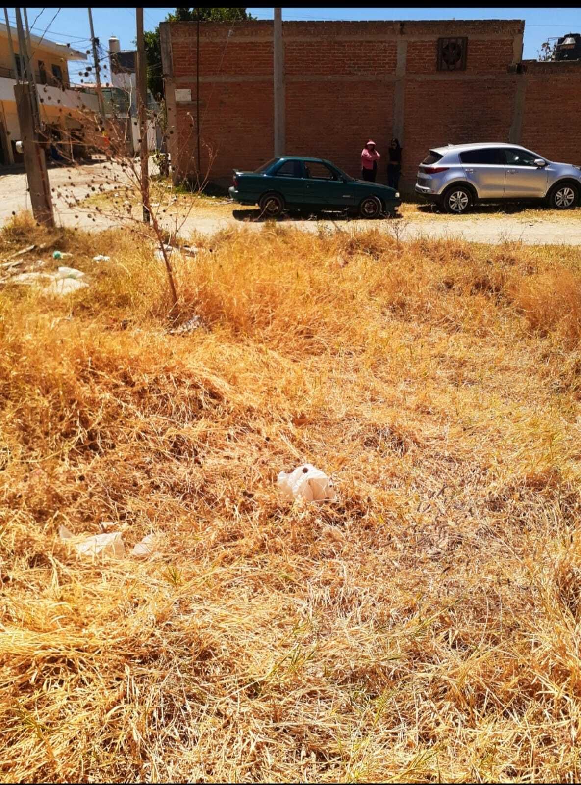 3 de 3