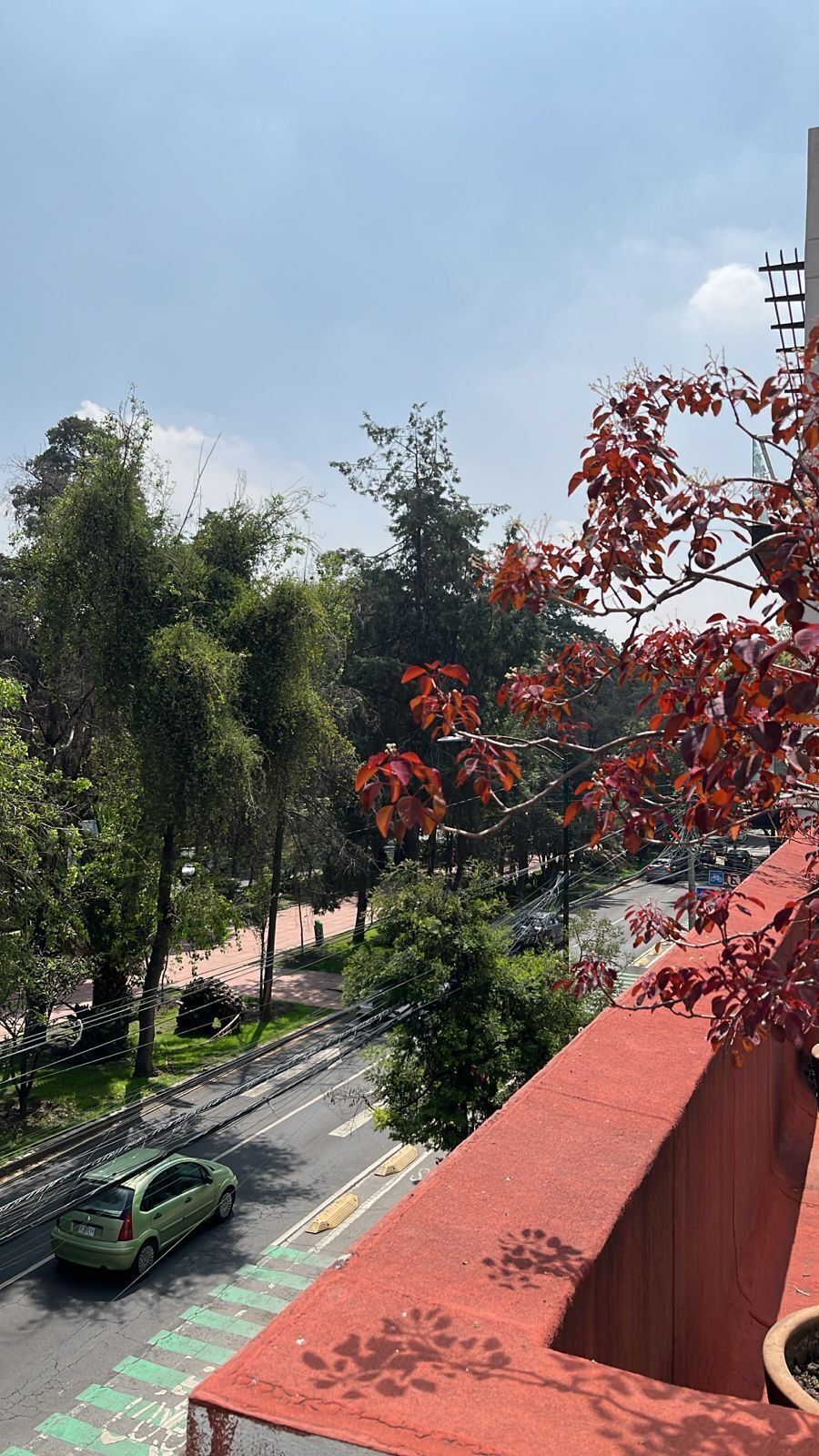 13 de 16