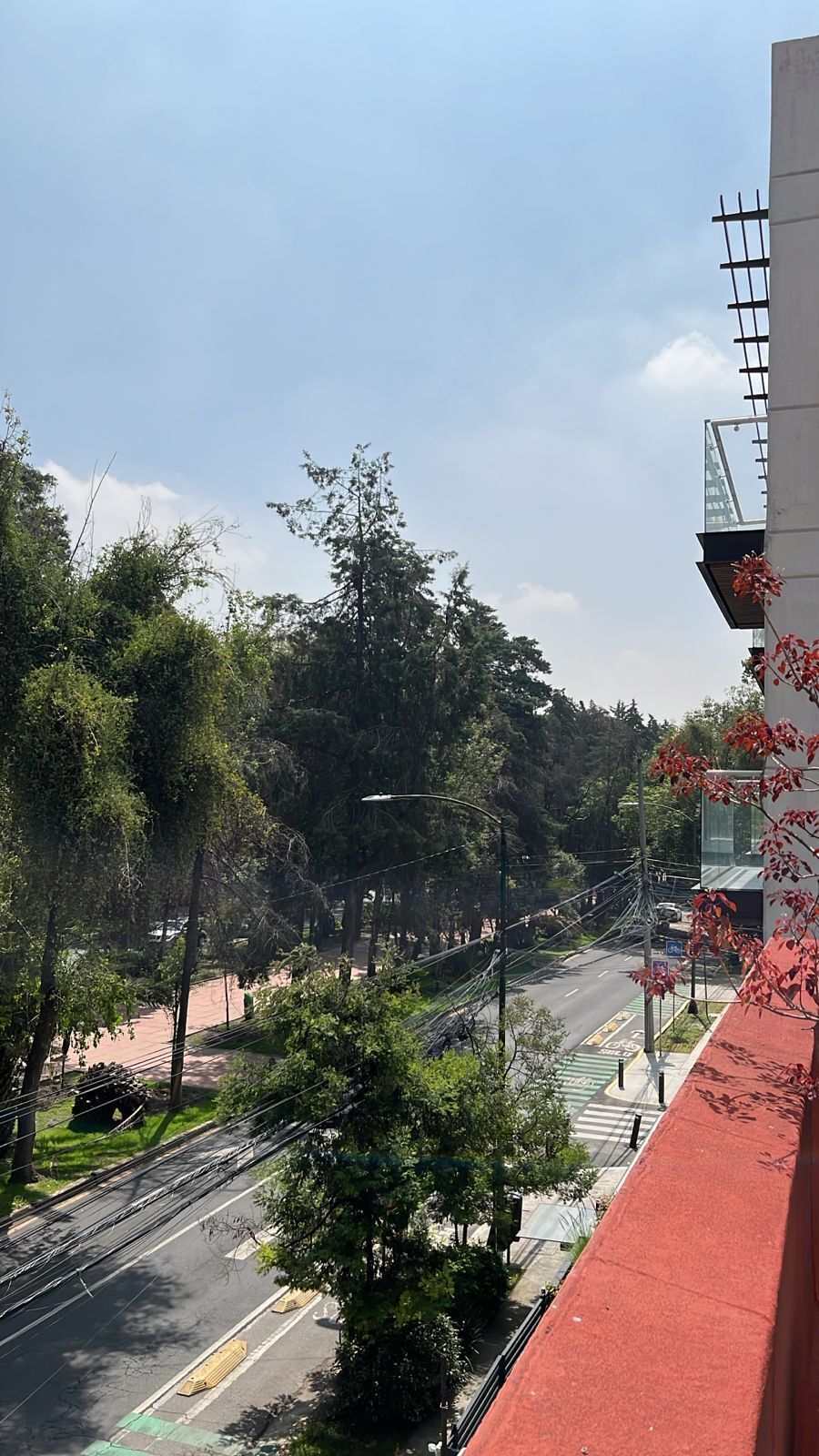 15 de 16