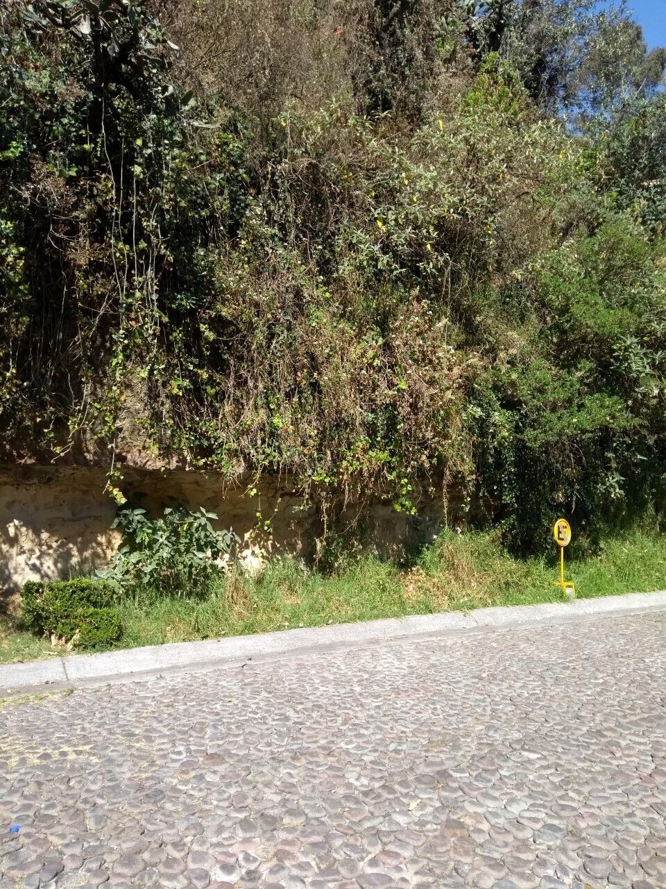 2 de 5