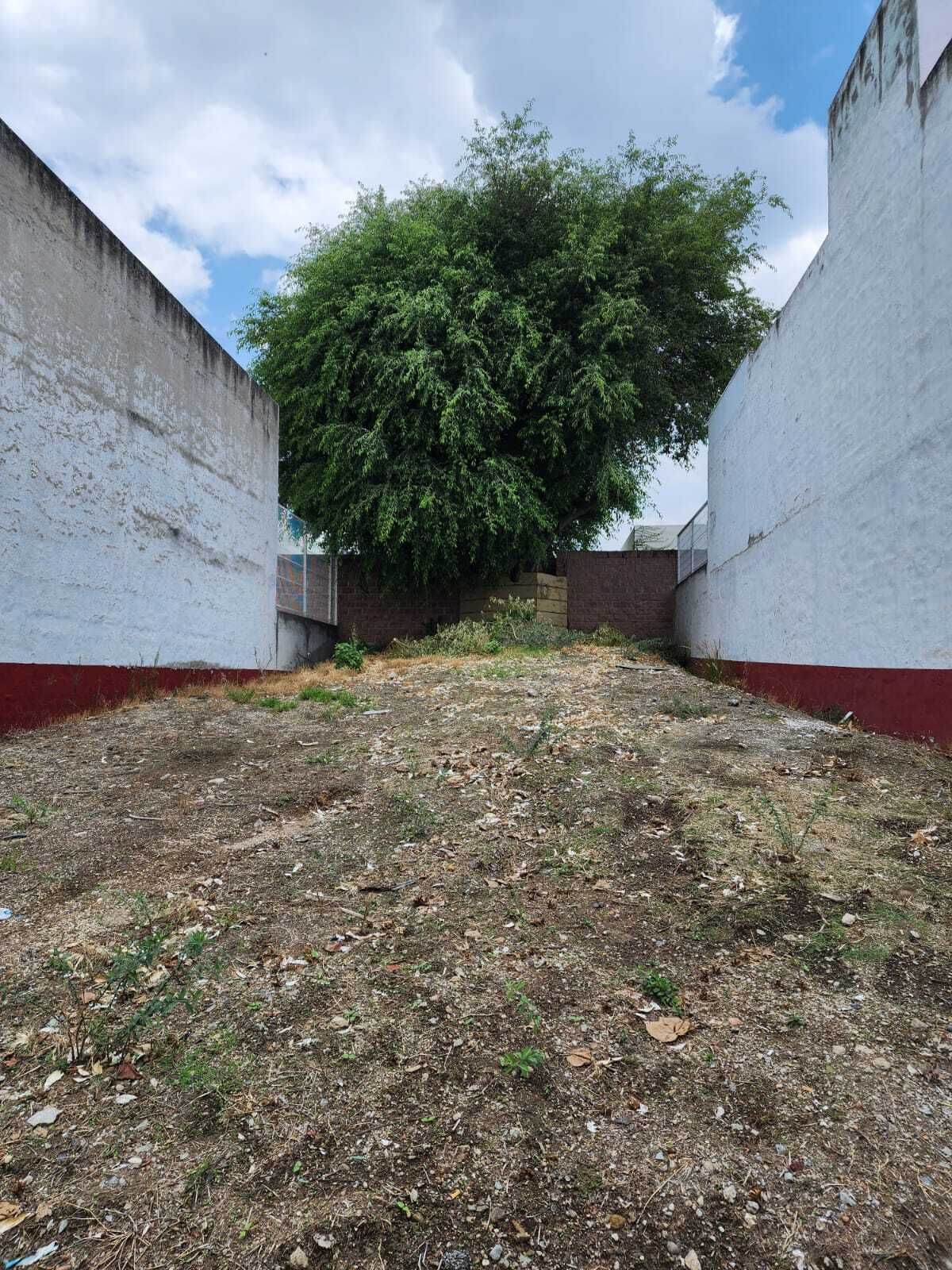 2 de 7