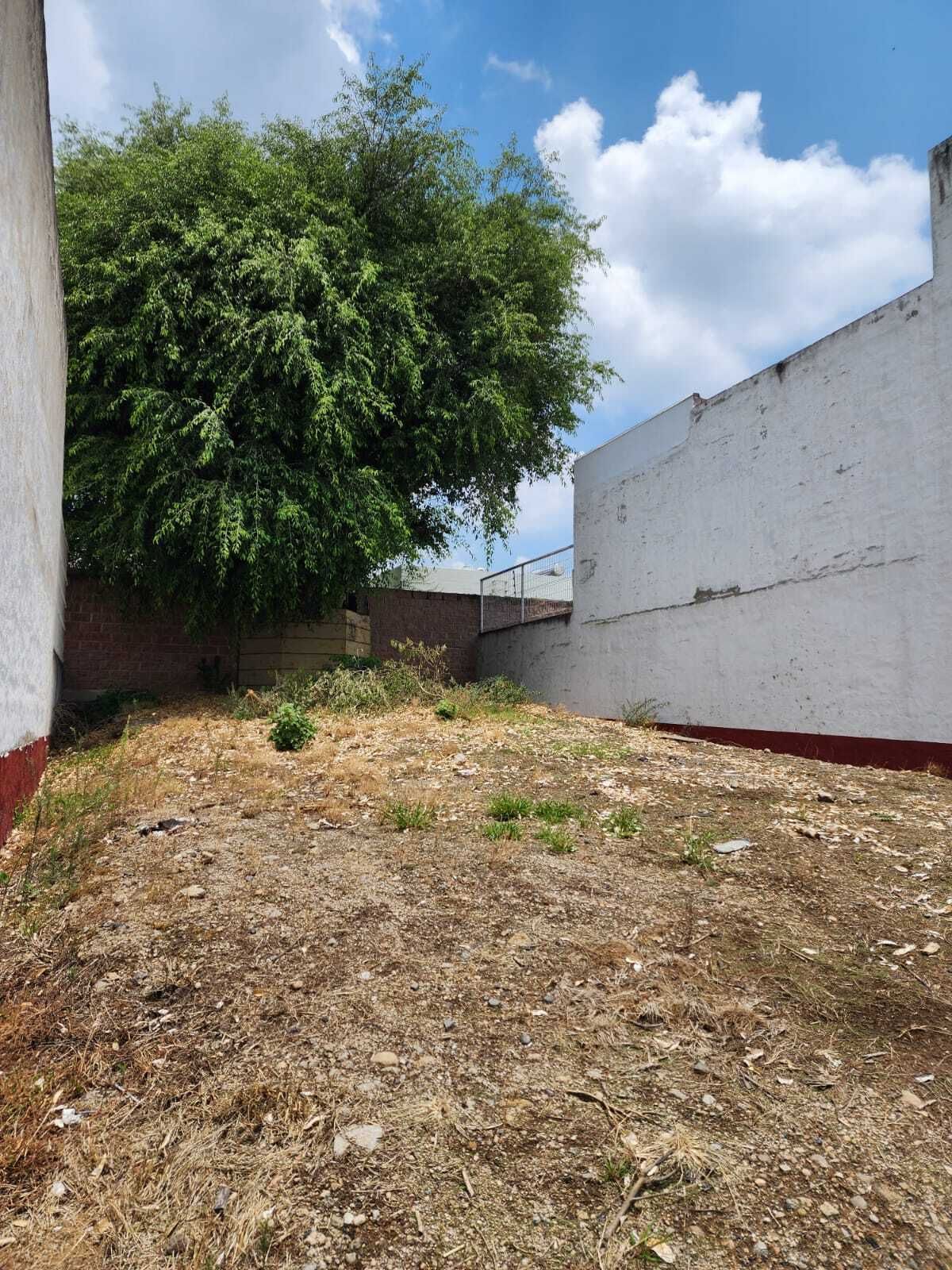 3 de 7
