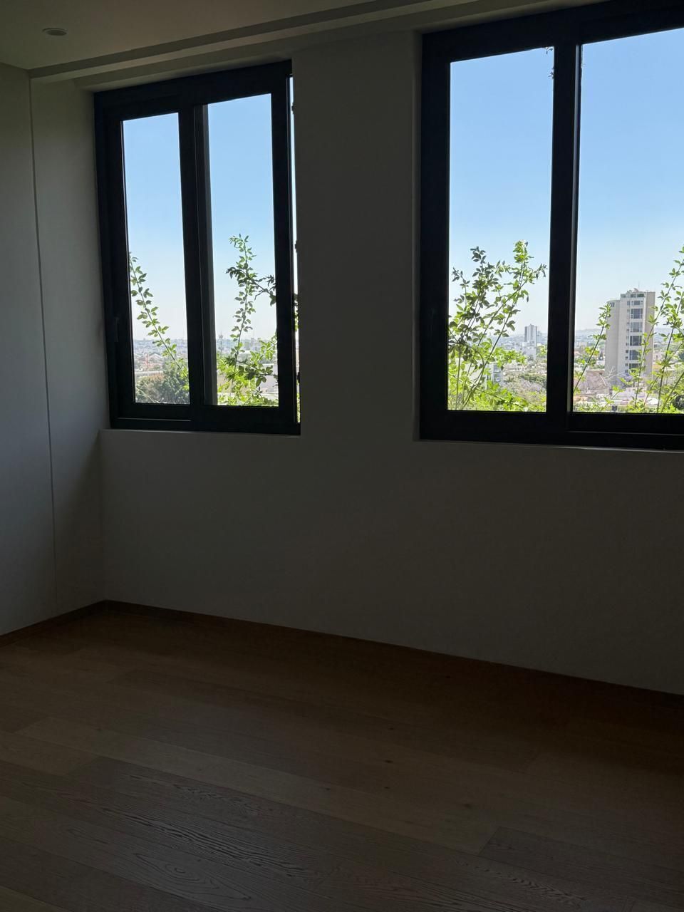 11 de 16