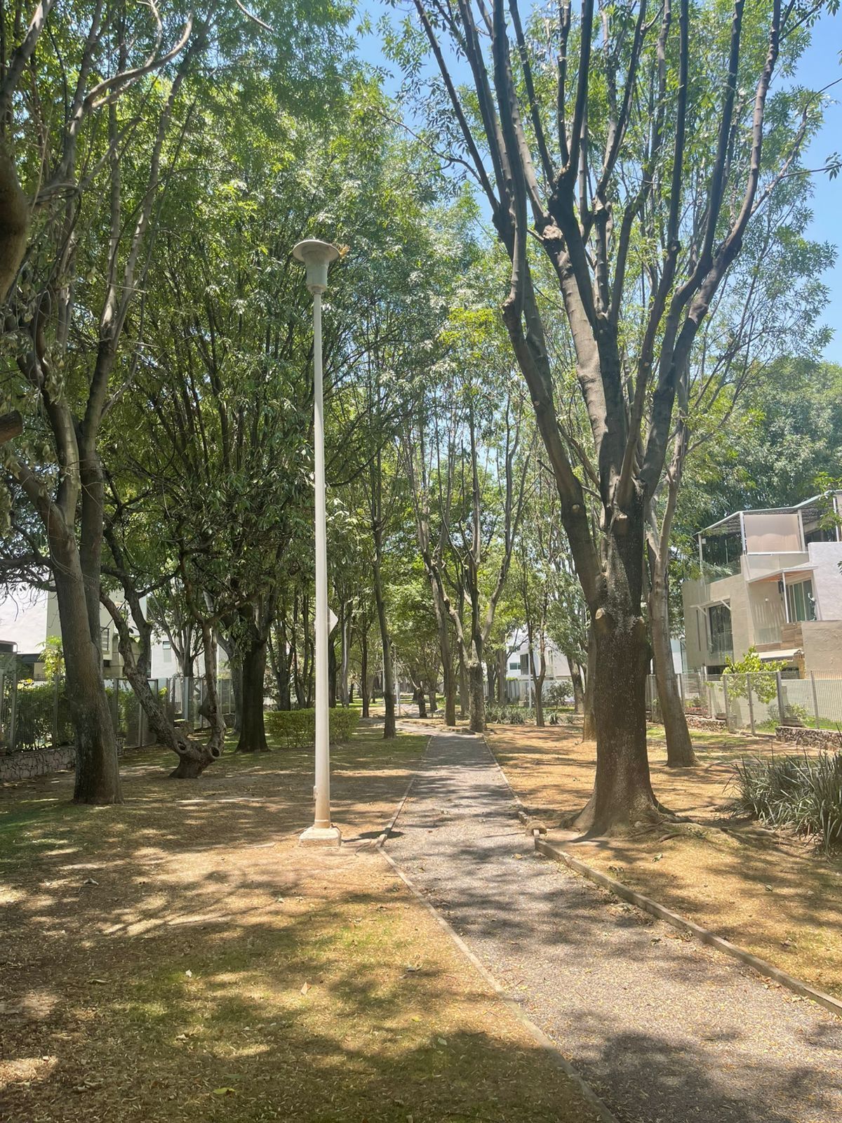 2 de 6