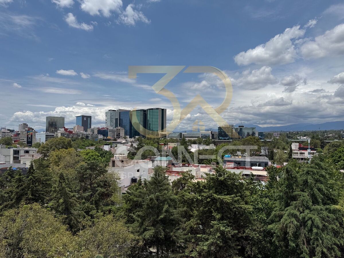 7 de 42