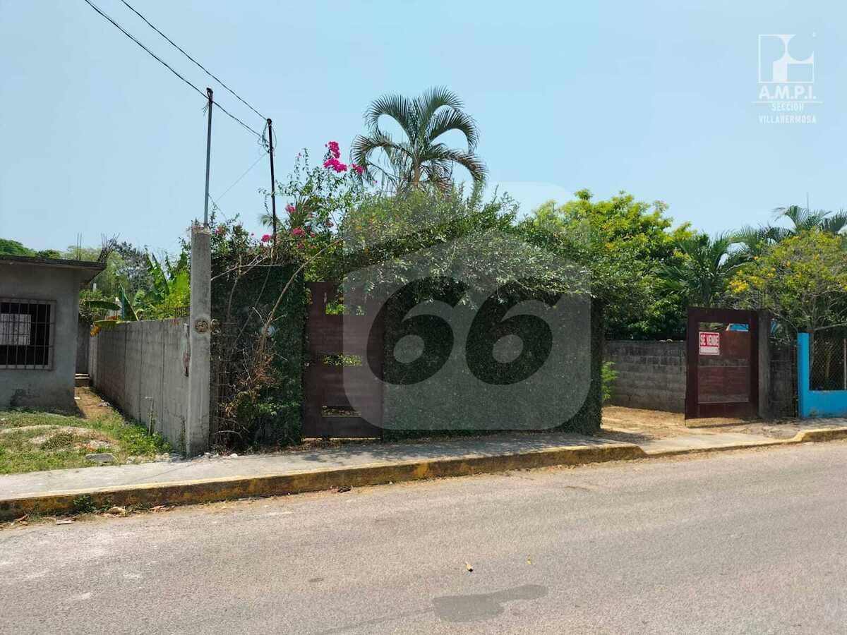 5 de 7