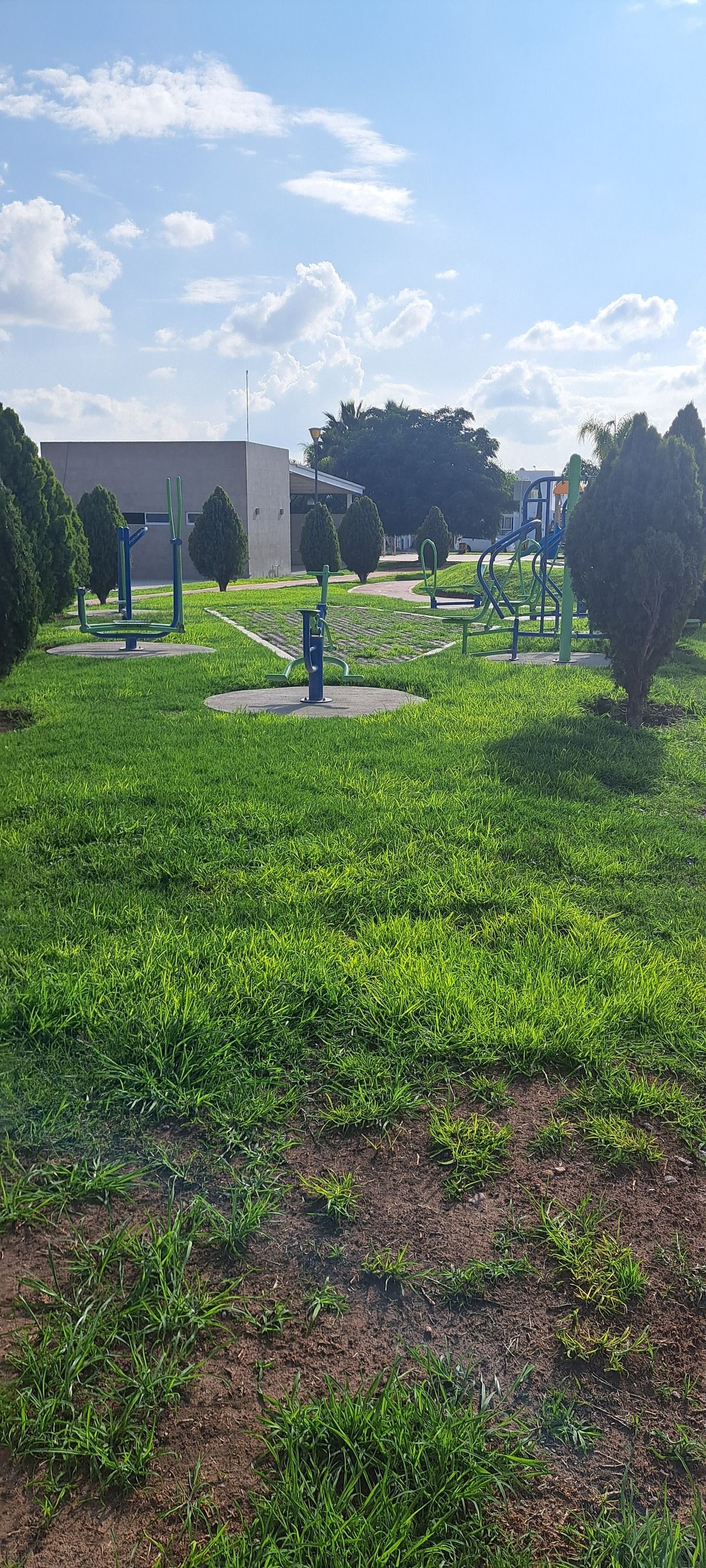 13 de 19