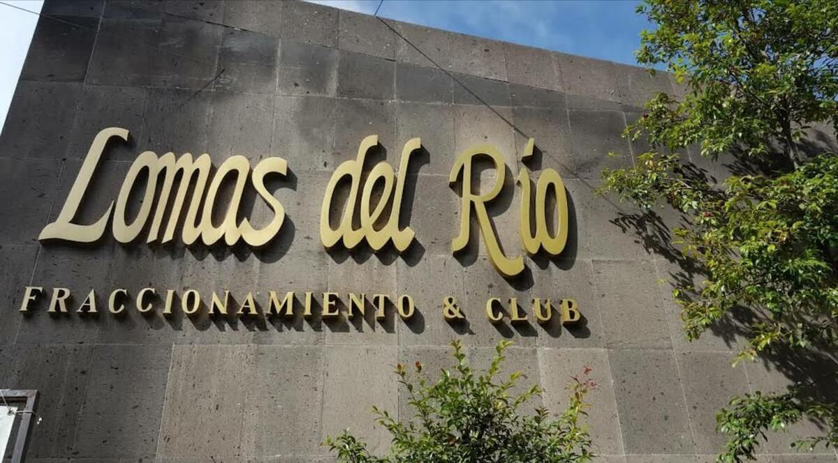 2 de 31