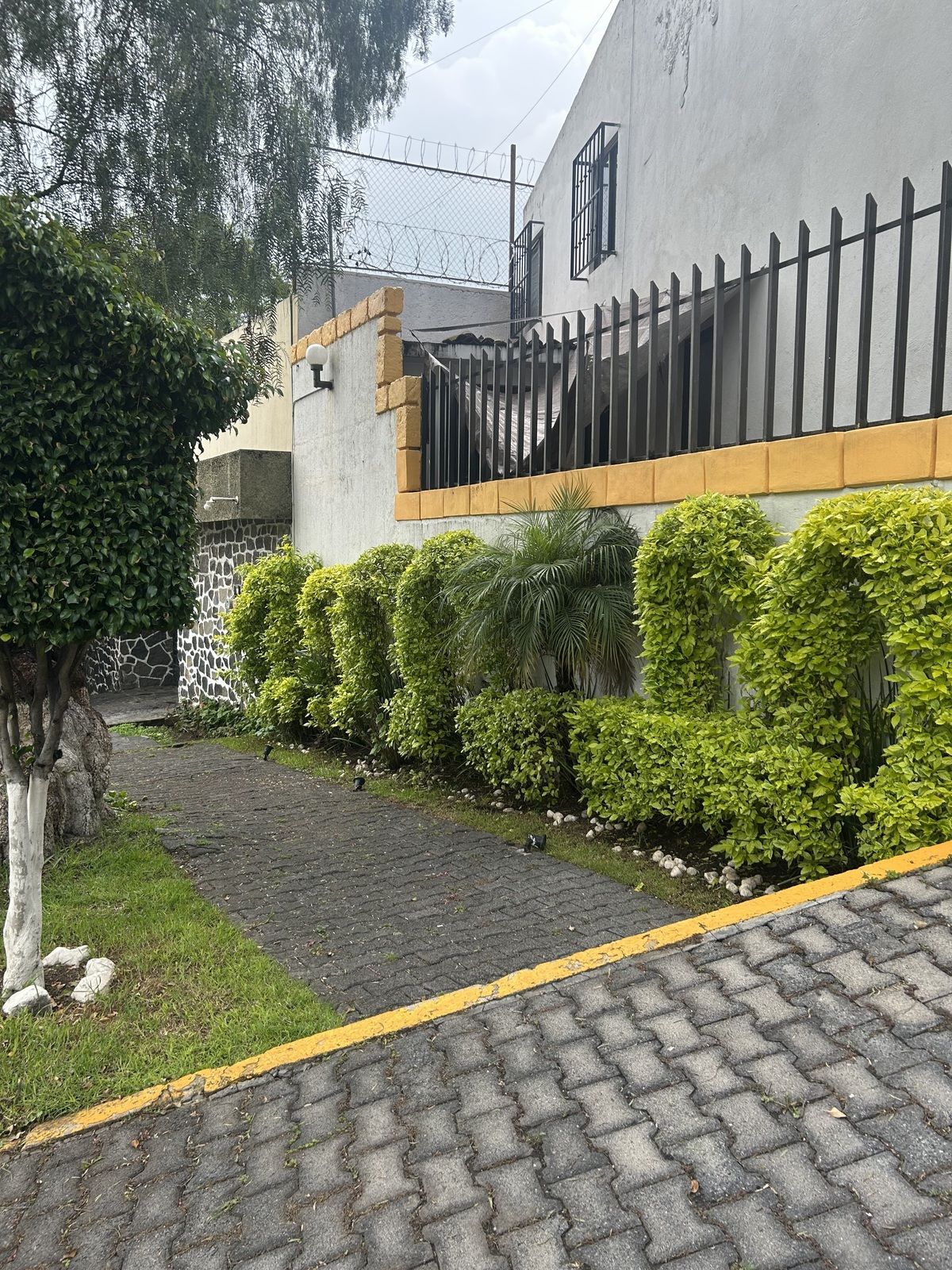 2 de 29