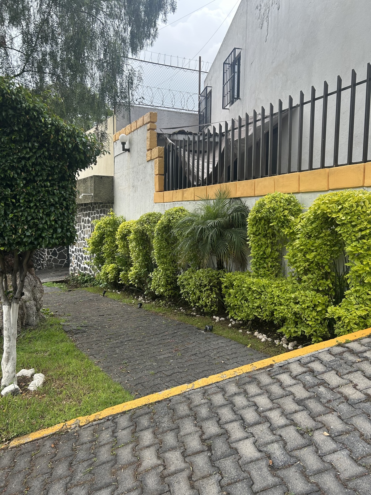 3 de 29