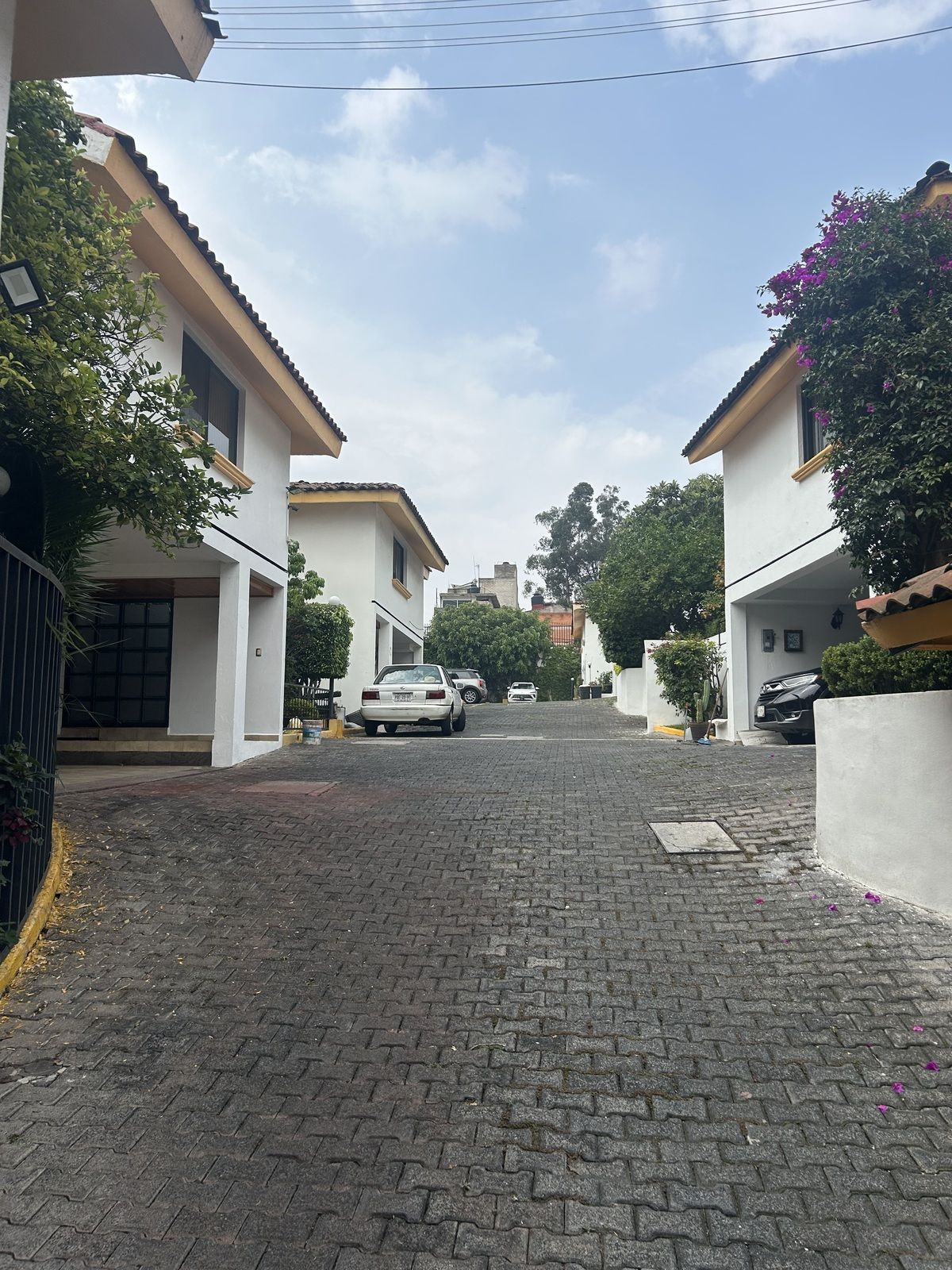 5 de 29