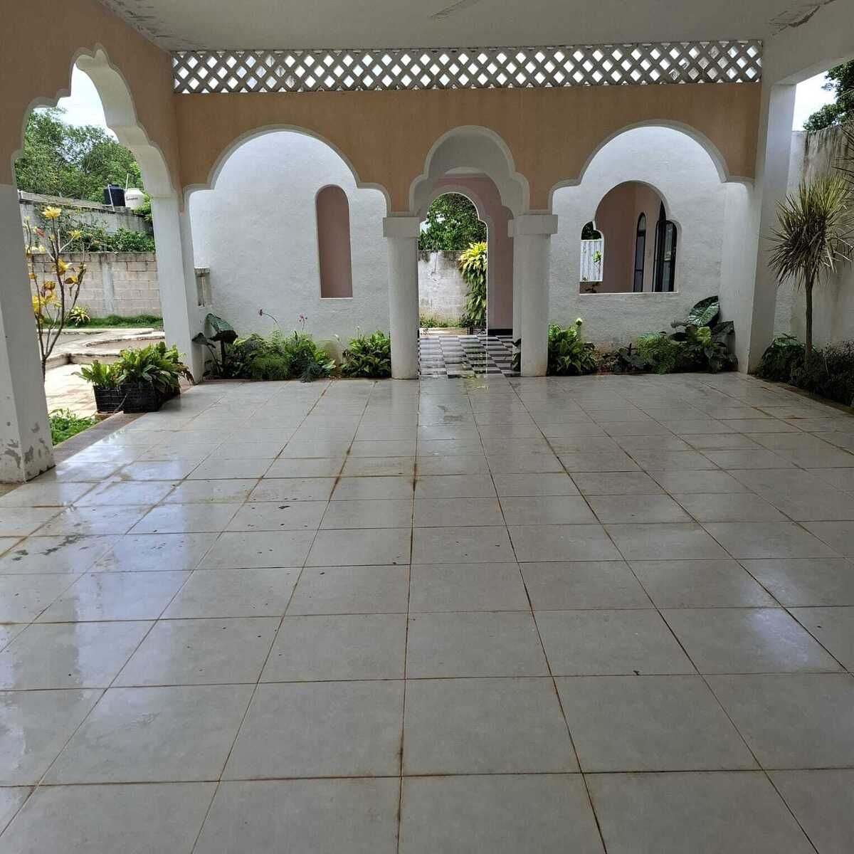 3 de 6