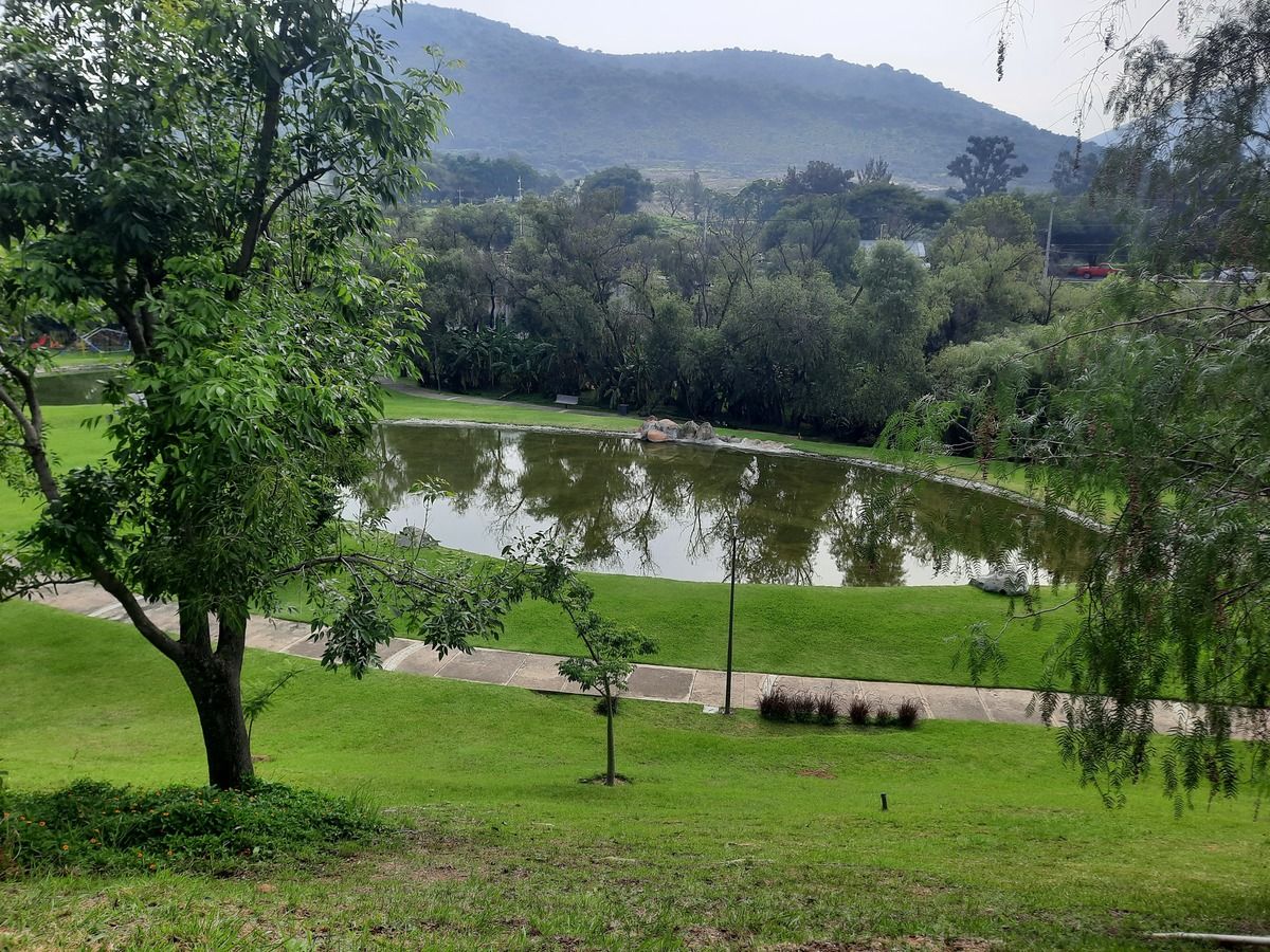4 de 24