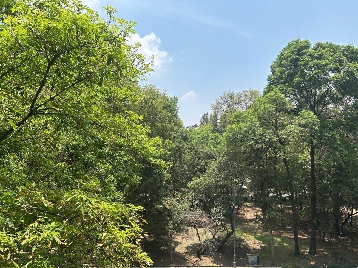 13 de 32: VISTA AL BOSQUE DE CHAPULTEPEC