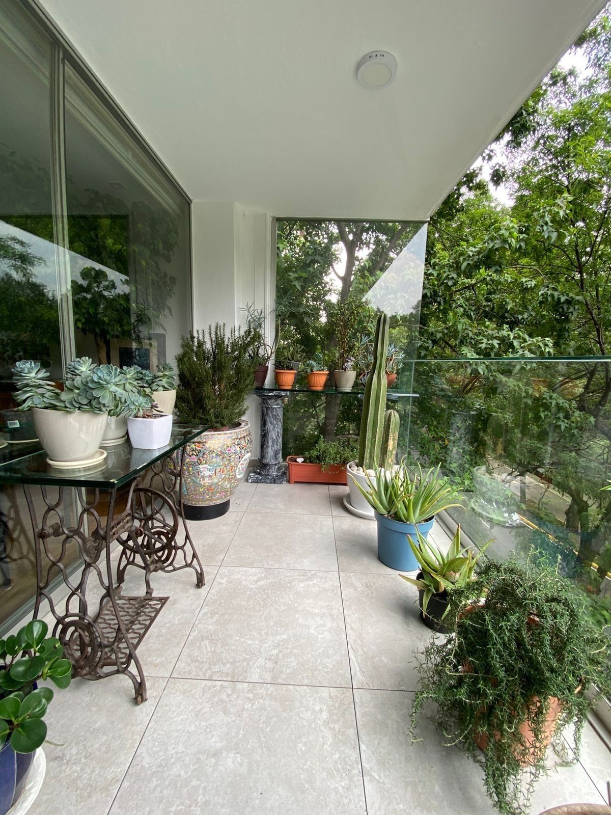 10 de 32: TERRAZA