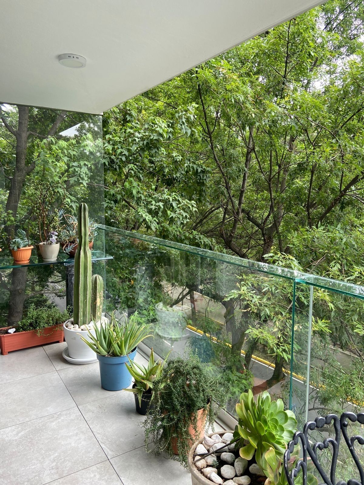 12 de 32: TERRAZA