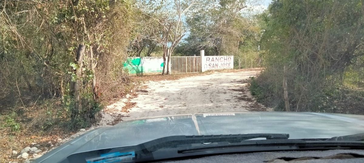 Imagen 1 de 5