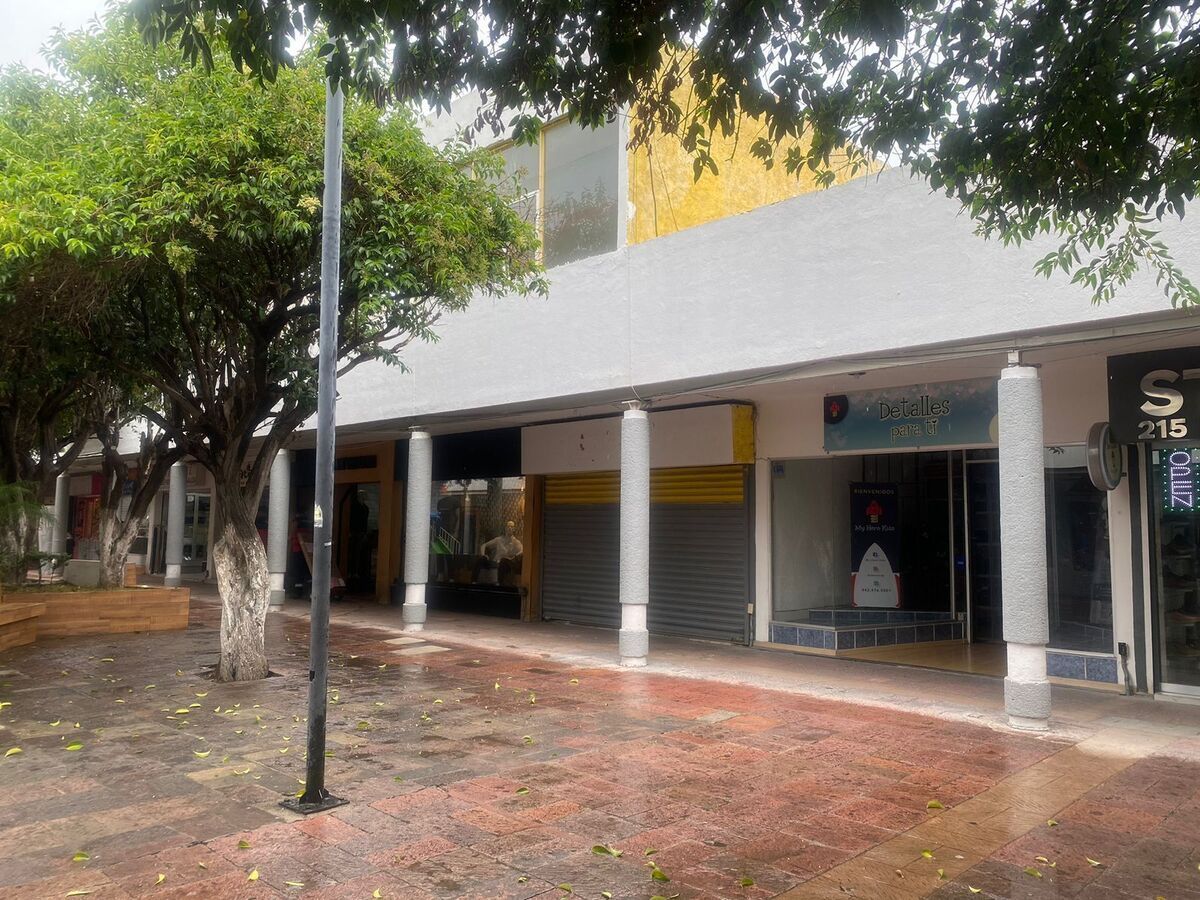 2 de 13