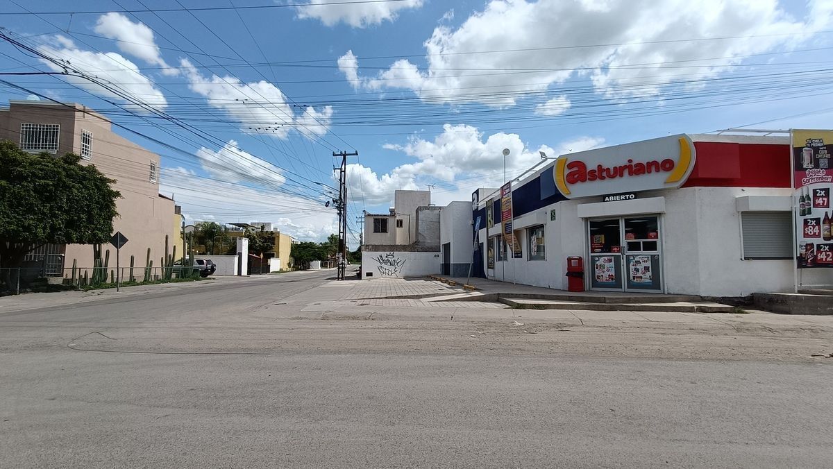 2 de 24