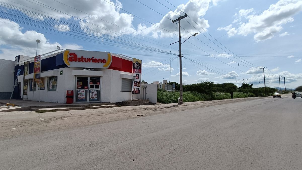 3 de 24