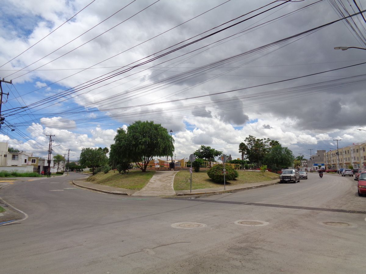 8 de 24