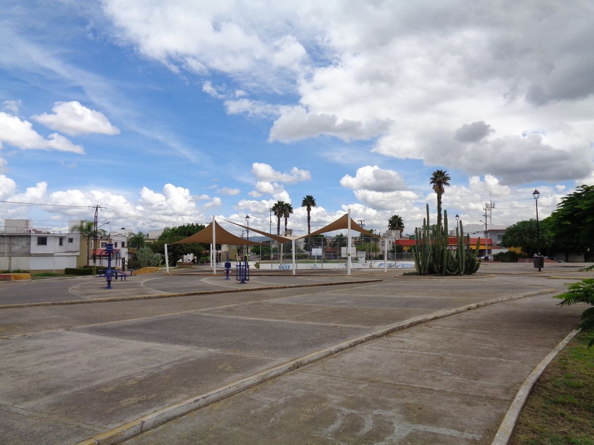 10 de 24