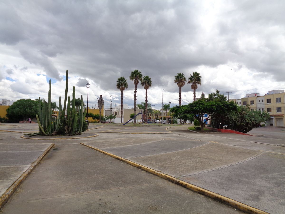 11 de 24