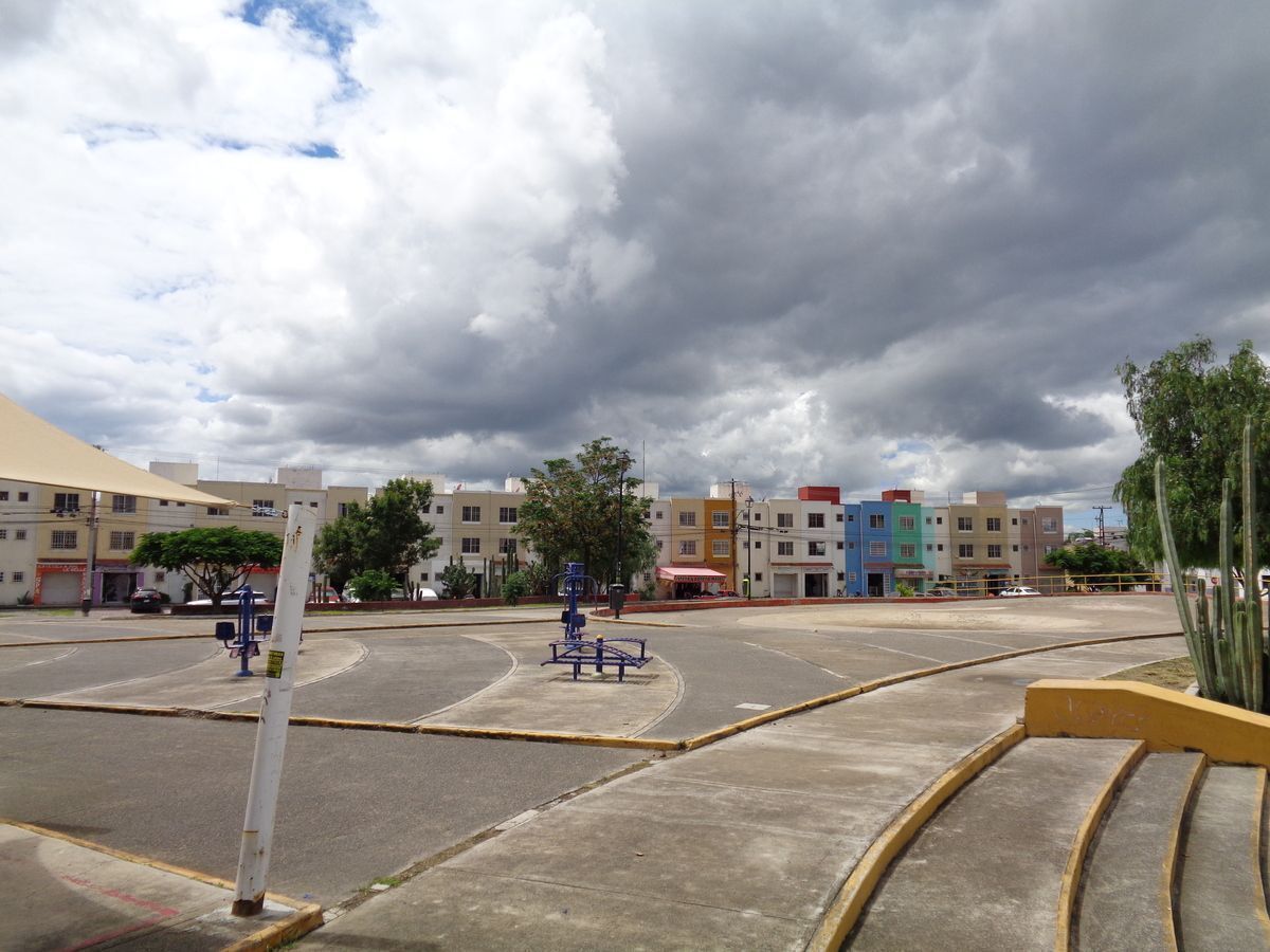 14 de 24
